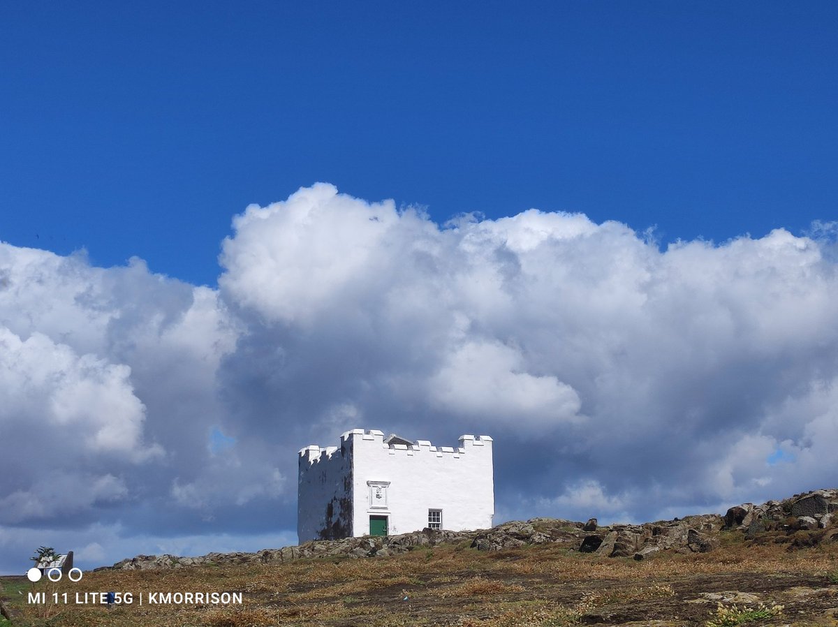 Spittalfield's tweet photo. Thrilled to be back on the Isle of May .
#IOM #birding https://t.co/4PJbWmIRP4