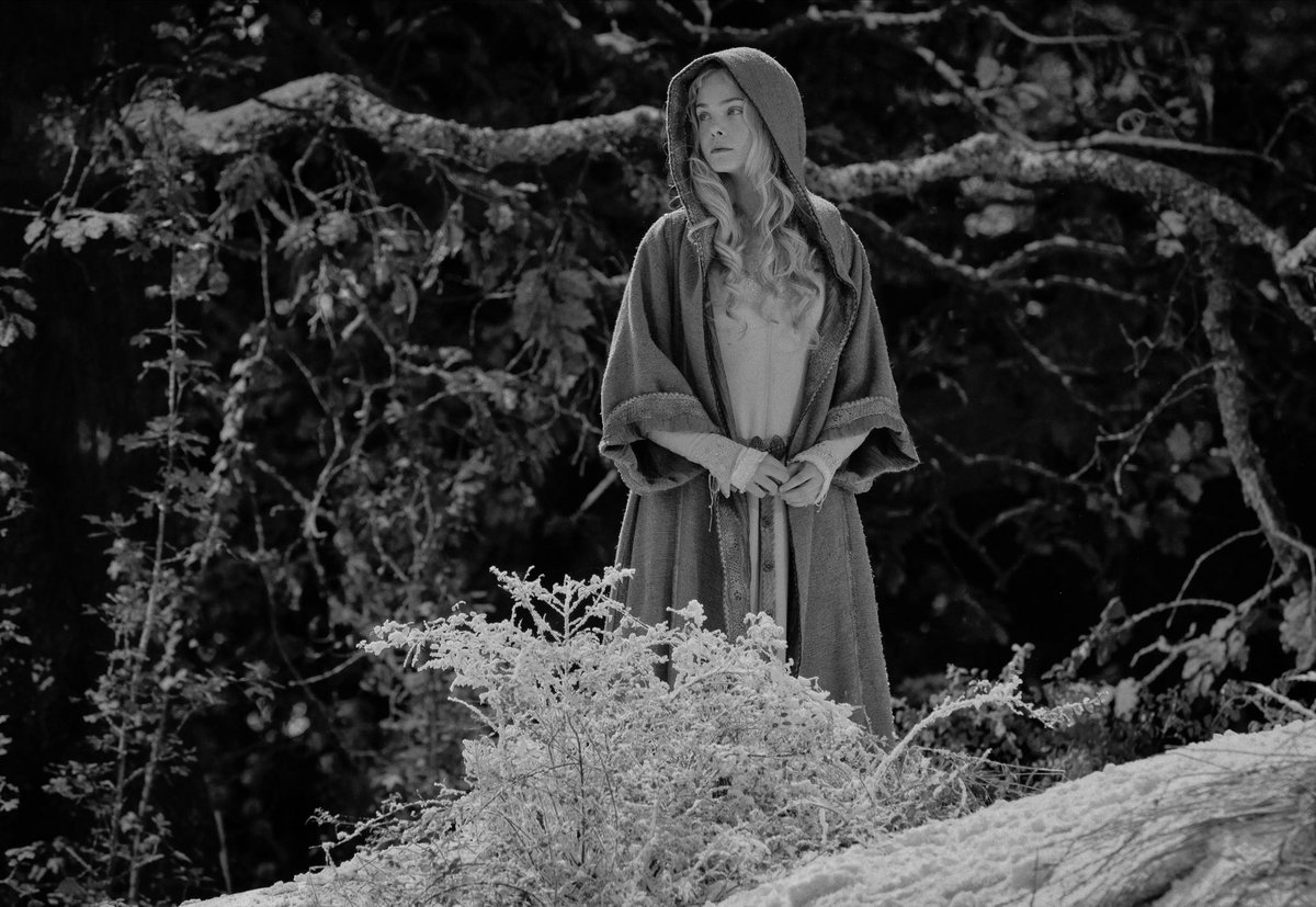 ❦ 𝐌𝐘𝐑𝐂𝐄𝐋𝐋𝐀 tweet media