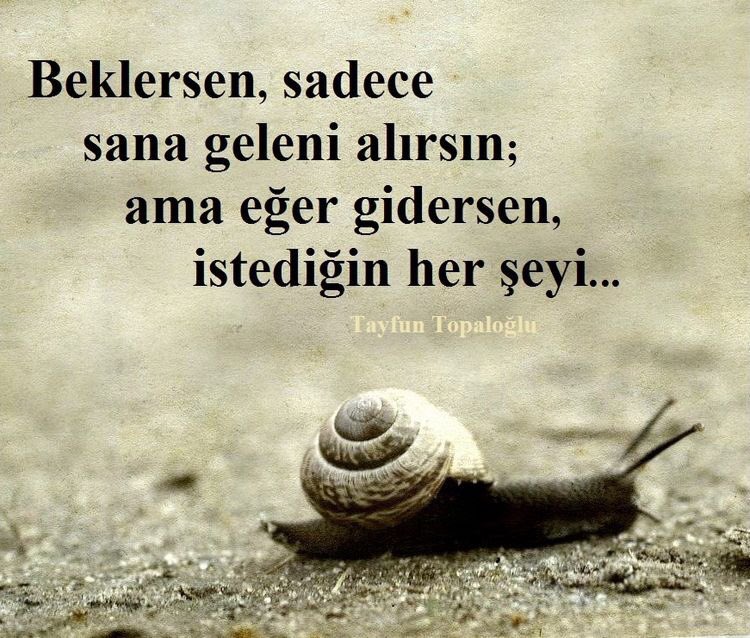 tienstürkiye (@tiensturkey) on Twitter photo 