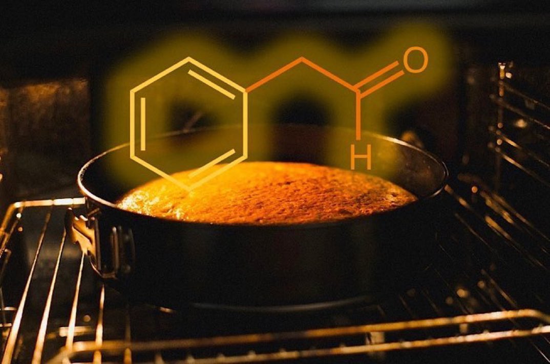 eedcAndy's tweet photo. Soak it all in on #NationalSpongeCakeDay Most volatiles in sponge cakes are formed during baking, the most common being alcohols then pyrazines, aldehydes/ketones; this inc floral-smelling phenylacetaldehyde, also found in flowers & attracts moths #allrise #inflower #RealTimeChem https://t.co/RtKNWZyncr