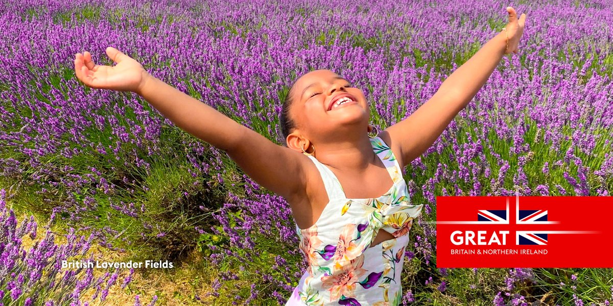 ukinromania's tweet image. We are conducting a survey 📝to understand the:
❔capacity of UK🇬🇧/RO🇷🇴 CSOs to deliver project outcomes to combat #MSHT
❔capacity of grant management organisations to manage 👔 a new grants programme
❔PM skill gaps in RO🇷🇴CSOs 
🔗bit.ly/3QLCvJ8
📌Deadline: 5 September