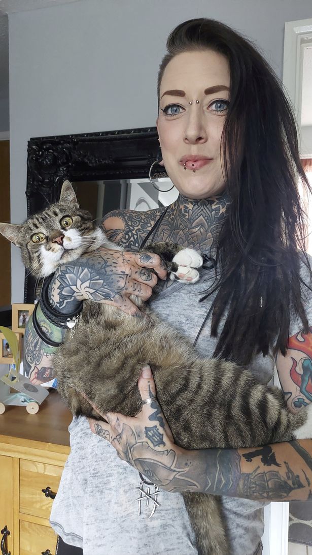 Cambslive's tweet photo. Cat missing for 11 years reunited with owner after being spotted on Facebook 🐱💻

[THREAD] 🧵 https://t.co/oNrz4idlUE