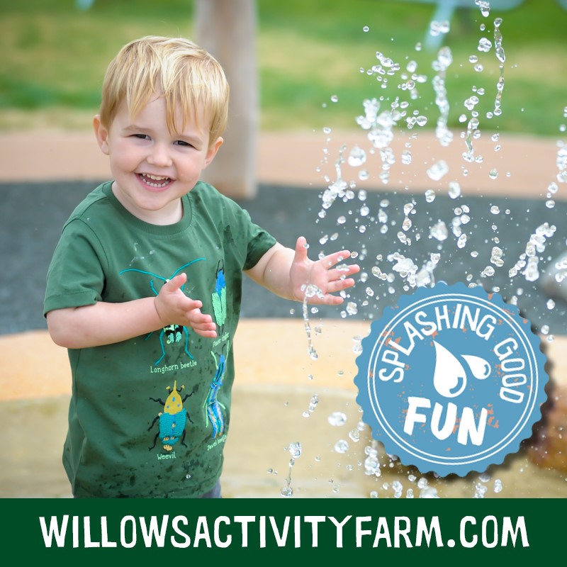 Willows ActivityFarm tweet media