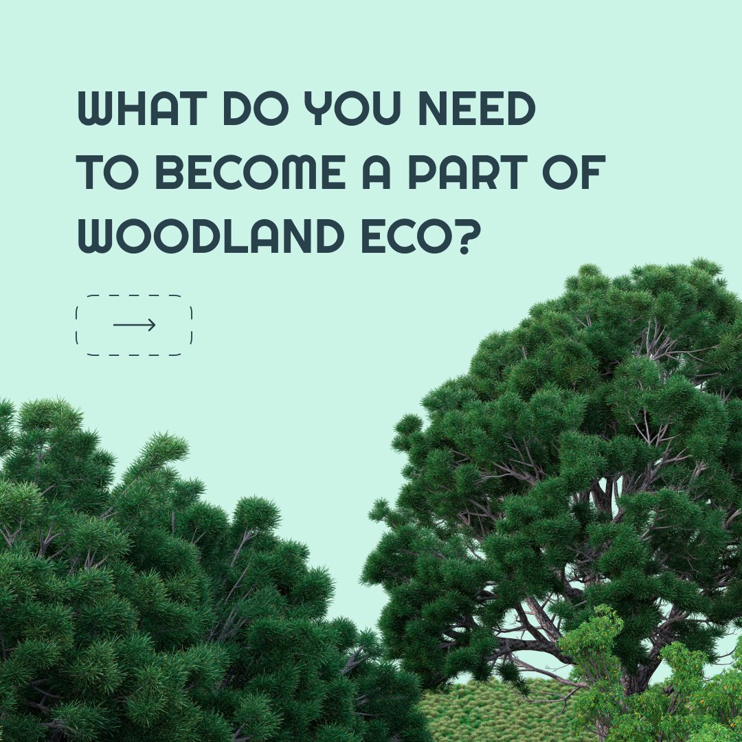 WoodLandEcoLife's tweet photo. What do you need to participate in the project? Scroll through the carousel to find out!  💫

Spoiler alert: less than you think!  🥰 https://t.co/JlKwF0Uddt