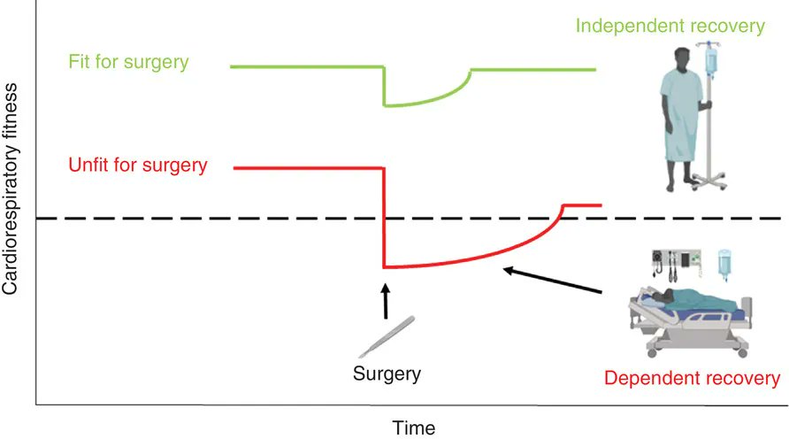 Review: ‘Fit for surgery’: the relationship between cardiorespiratory fitness and postoperative outcomes buff.ly/3BnkEnb <a href="/rgdavies70/">Richard Davies</a> <a href="/corticalsilence/">Dr Ian A</a> <a href="/ronan_berg/">Ronan Berg</a> <a href="/USW_Oxygen/">Vascular Res. Lab</a> <a href="/CV_UHB/">Cardiff and Vale University Health Board</a> <a href="/UCPH_health/">UCPH Healthscience</a> <a href="/Rigshospitalet/">Rigshospitalet</a> @CFAS_dk <a href="/KStateKines/">K-State Kinesiology</a> <a href="/KSUDAP/">Department of Anatomy & Physiology</a>