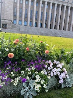 Terveydenhuoltoa valvovan <a href="/valvira/">Valerie Gale</a> mukaan potilaiden oikeudet eikä potilasturvallisuus toteudu. #Syöksykierre katkaistava #Korjaussarja välttämätön vanhuspalveluiden ja terveydenhuollon kriisin korjaamiseen. Niille tuki <a href="/MarinSanna/">Sanna Marin</a> <a href="/LindenAki/">Aki Linden</a> kerrottava mitä hallitus aikoo tehdä?