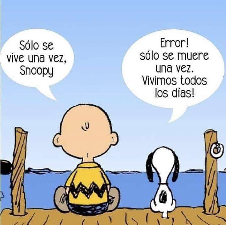 filocoaching's tweet photo. https://t.co/Cp5k7xvl4x