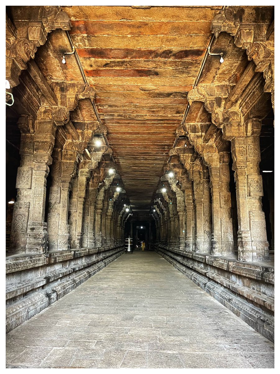 ShefVaidya's tweet image. Each time I visit Tamil Nadu, I feel awed by what Hindus have created. Temples are such sublime art created with such devotion. More of us need to visit TN temples and write/talk about them. Tamil Nadu is a Dharmik revelation that every Hindu must experience! #tamizhtales