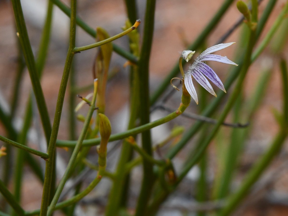 Joanne Ocock tweet media
