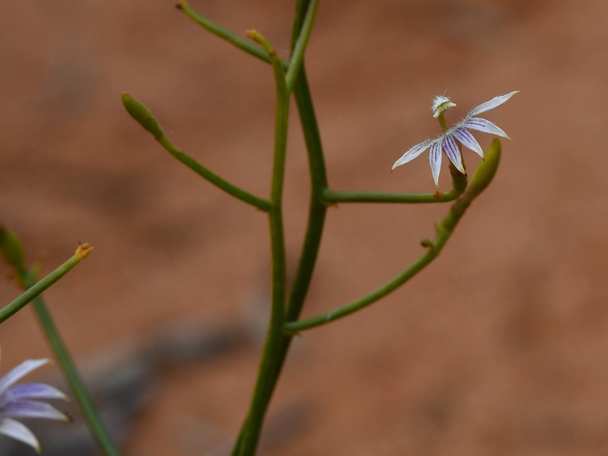 Joanne Ocock tweet media