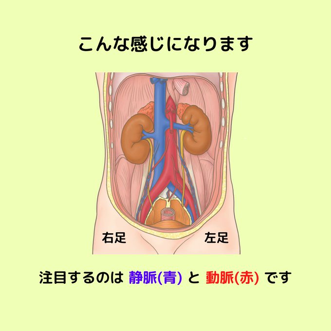 Dvtのtwitterイラスト検索結果