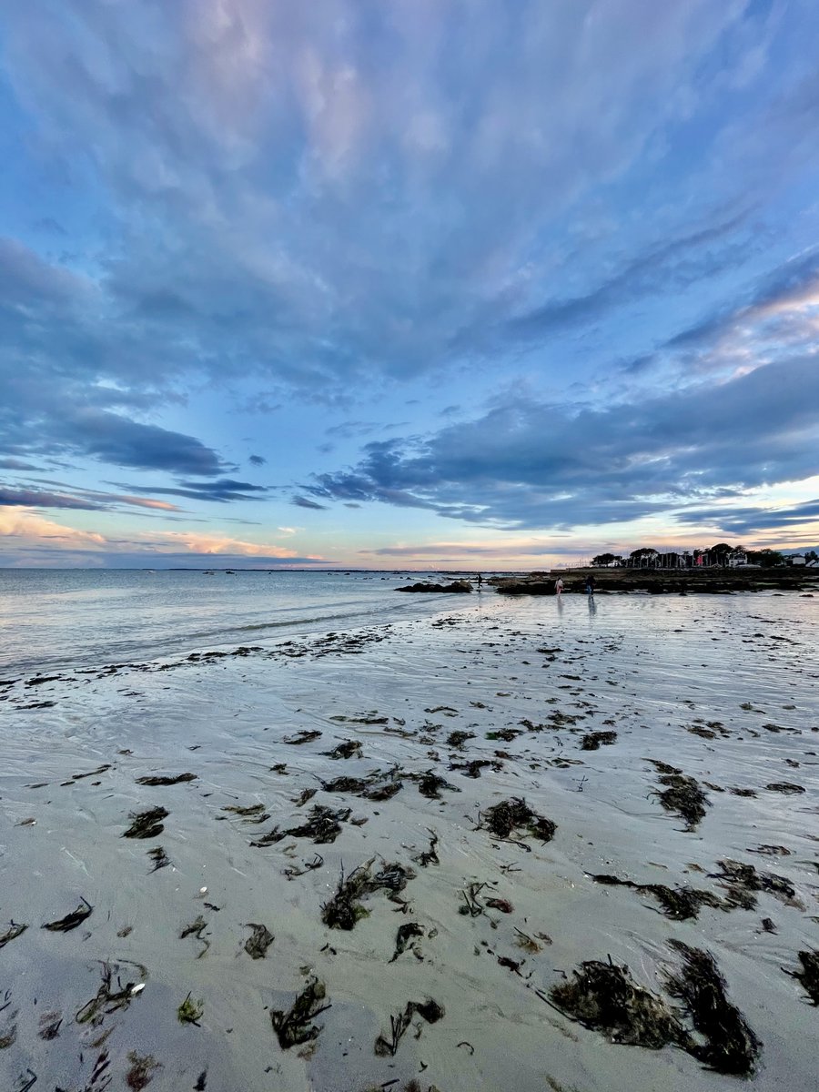 ArthurLoydBrest's tweet photo. Dans quelques semaines, nous aurons le plaisir d’accueillir sur nos terres bretonnes le séminaire annuel Arthur Loyd, 75 agences et 450 collaborateurs !
@ArthurLoyd 
#bretagne #bzh #seminaire #ArthurLoyd #créateurdepossibilités #carnac #Morbihan https://t.co/OylimpT69P