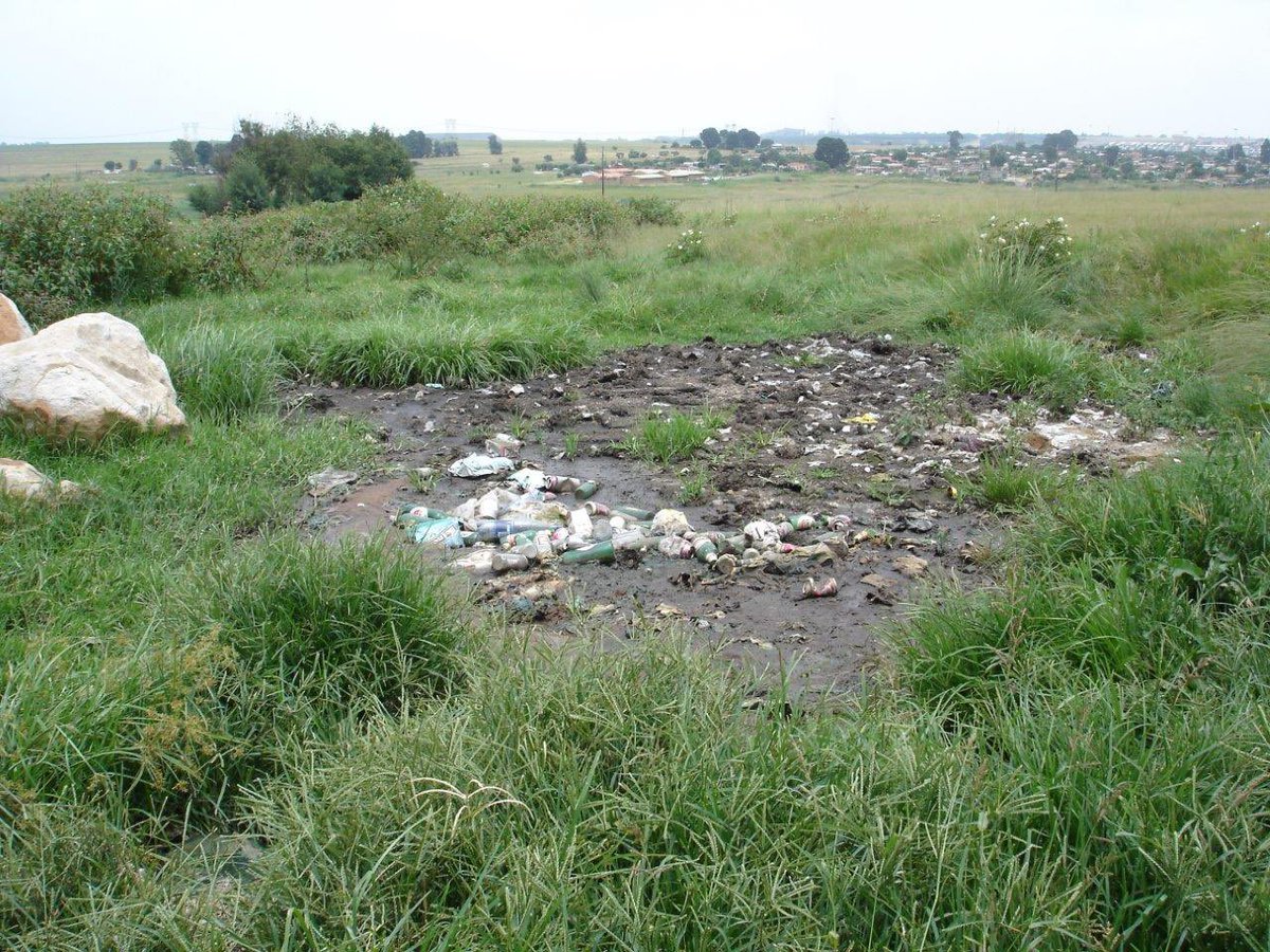 wild_bank's tweet photo. Environmental forensics investigation in the eMalahleni area

#fishhealth #wetlands #mining #forensics #environmental https://t.co/bWdwXtuPPl