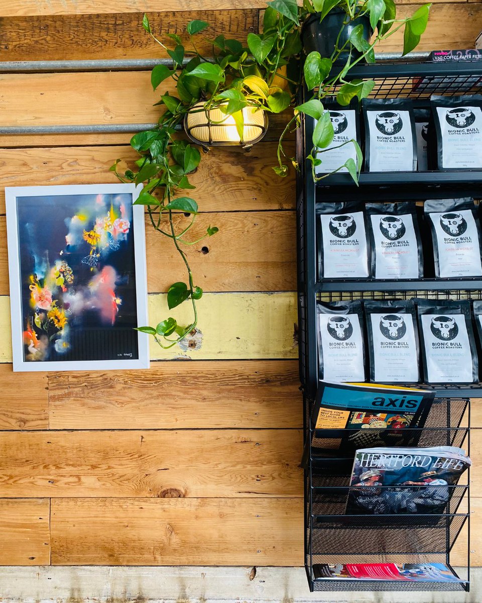 bionic bull roastery