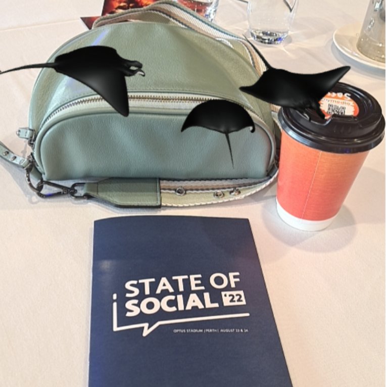 mechrocklette's tweet photo. @state_of_social mental health manta rays are on the hunt for some caffeine to see out the day #EyeJackWebAR #StateofSocial22 https://t.co/vsNGCWj7ET