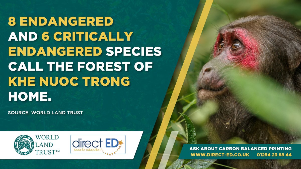 Direct ED Ltd tweet media