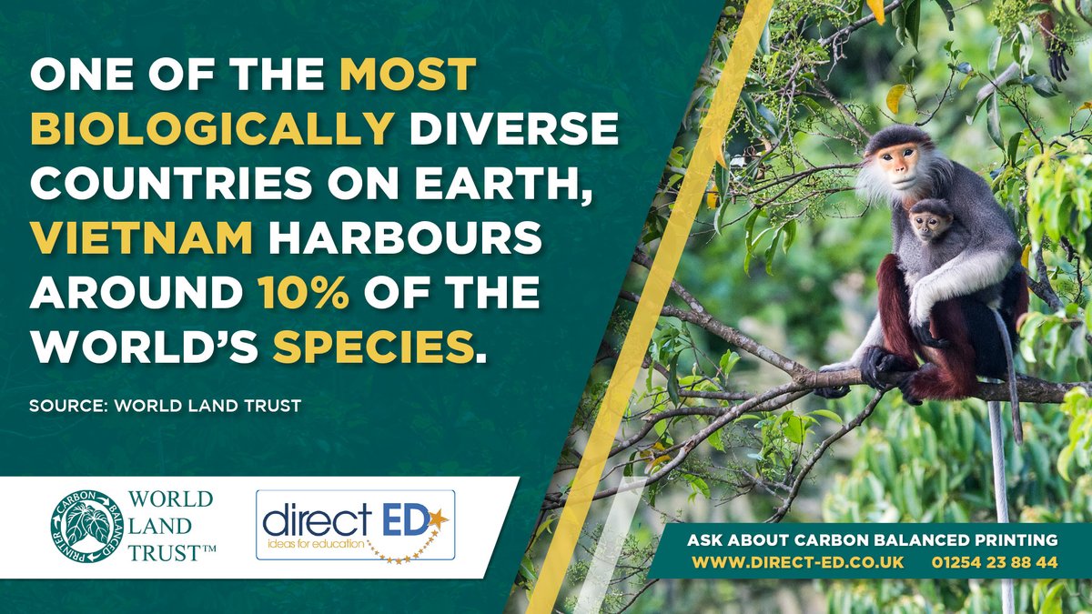 Direct ED Ltd tweet media