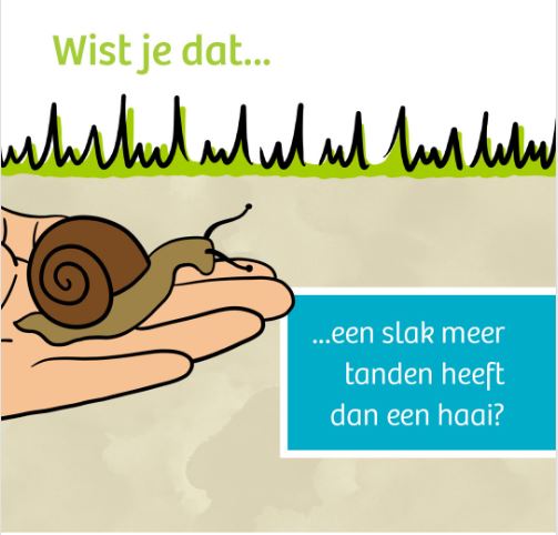IVNNederland's tweet photo. Hoe gezond is jouw #tuinbodem? Met de IVN Tuinbodemcheck zoek jij tot op de #bodem uit wat de kwaliteit is van het #bodemleven in jouw eigen tuin. Wil jij het onderzoeken? Vraag nu de gratis tuinbodemcheck #toolkit aan! 👉 https://t.co/dB6yYBuouM https://t.co/5UfL30FvVD