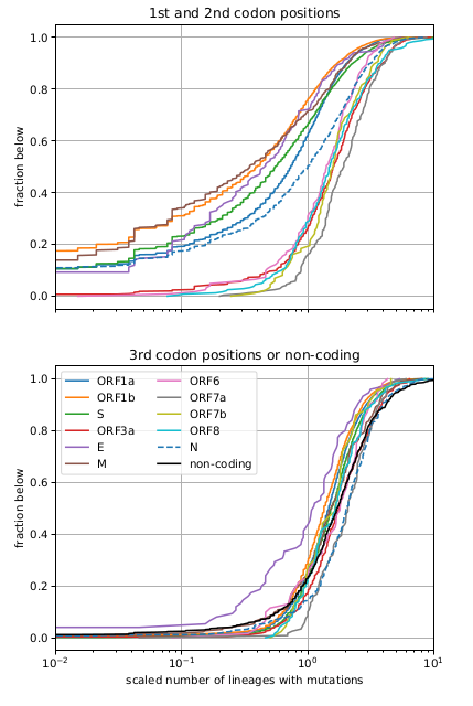 Since its emergence in late 2019, #SARSCoV2 has diversified into multiple distinct variants.

In a n...