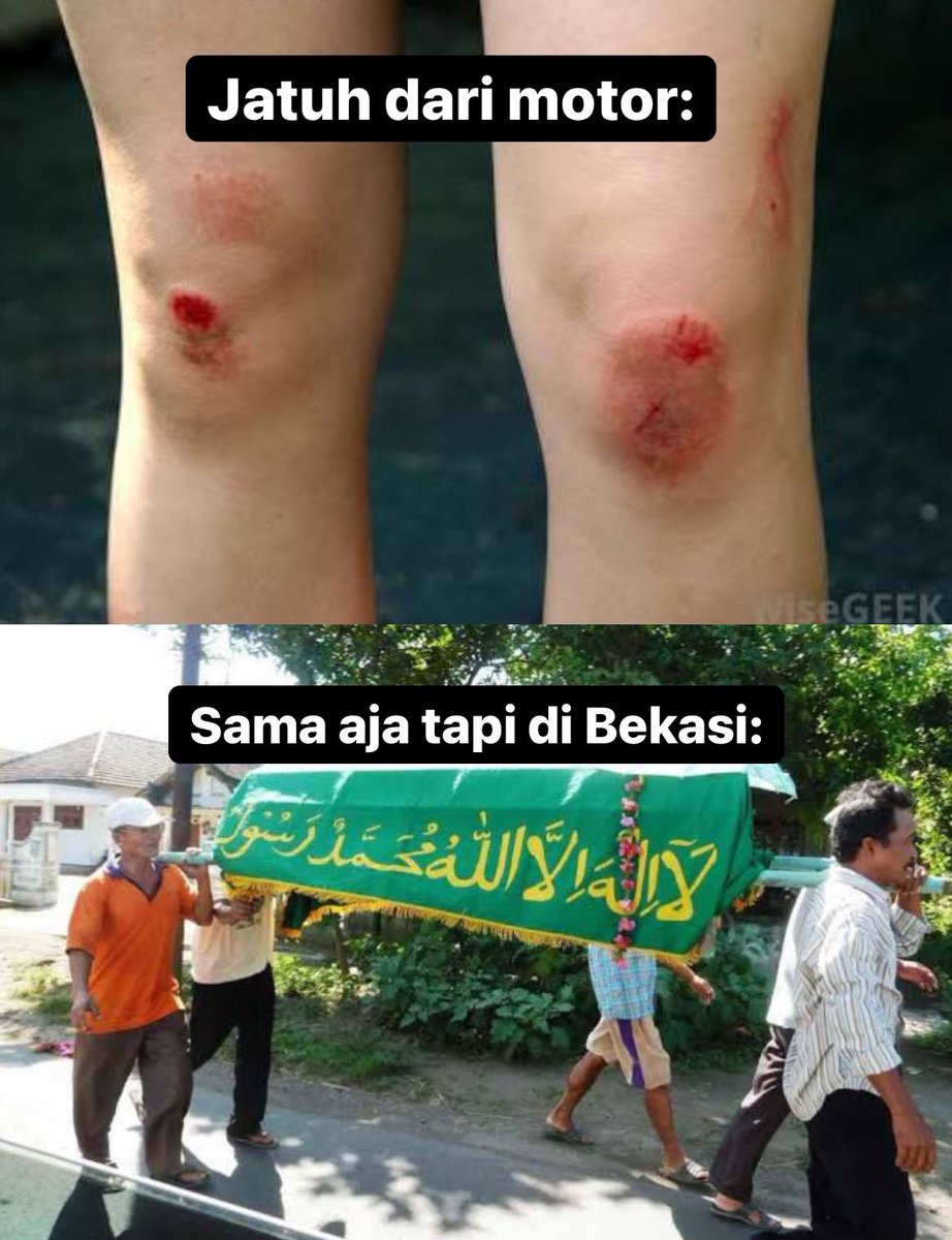 txtdrbekasi's tweet photo. banyak bat trek 🤯 https://t.co/HNpR9fXEEs