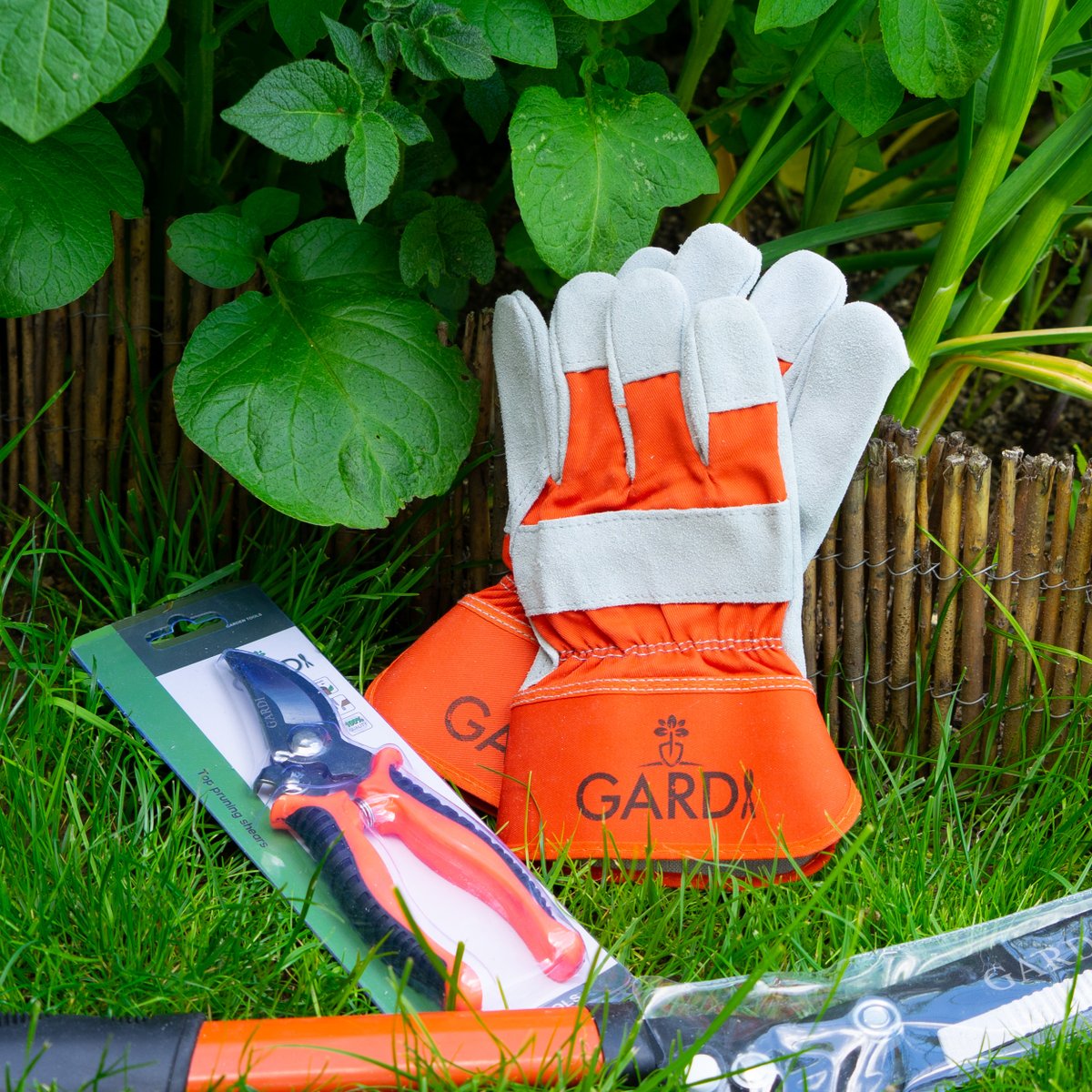 Check out our selection of #gardeningtools at gardigardening.co.uk

#shears #secateurs #gloves #gardening #garden  #GardeningTwitter #GardeningFun #gardenlife