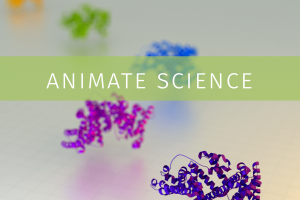 VyScience's tweet photo. Our Animate your Science Autumn course will start on the 20th of Sep 2022. Read more about it and sign up from the link!
https://t.co/CYVJDC63tW
#visualizeyourscience #course #animateyourscience #scicomm #animation https://t.co/8m8sHsUlND