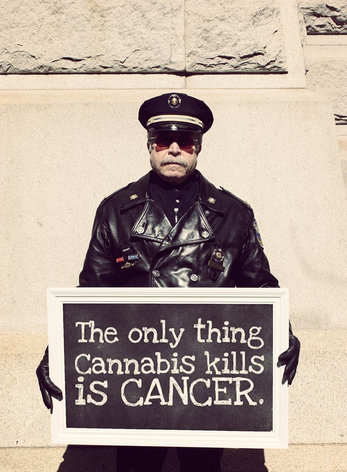 Canna World (@cannaworld4) on Twitter photo 