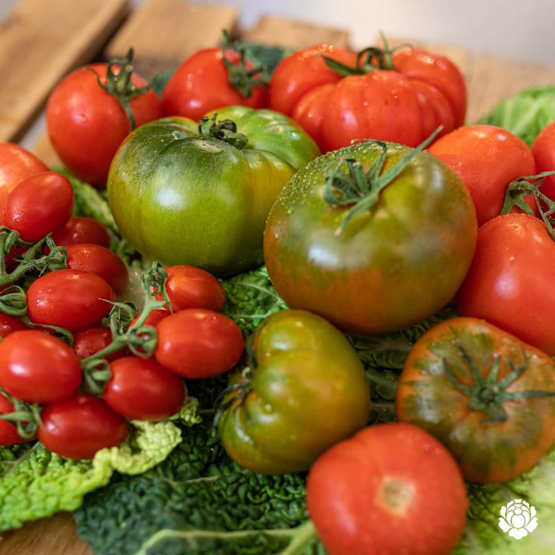 superverd_cat's tweet photo. 🍅🌞 Si t’encanta el tomàquet, l’estiu és el moment ideal! Sabies que existeixen més de 10.000 varietats de tomàquet🤯? Les més conegudes són el tomàquet Raf, el cherry, el cor de bou, el Rosa de Barbastro, el verd, el pera, el Monte Rosa o el de penjar, entre d’altres. https://t.co/KpGZjffmO1