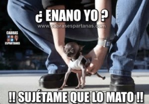 BAENA15003691's tweet photo. #HUMORDEMARTES https://t.co/0l0WcLiNUY