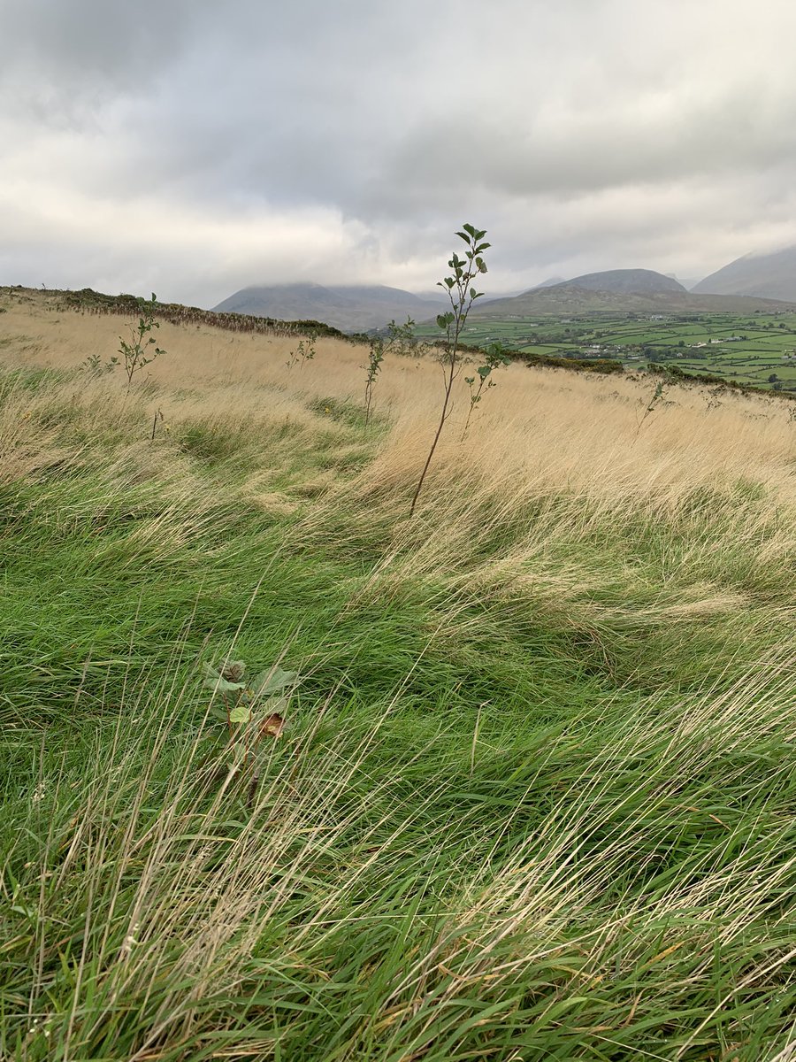 Alistair Maltby tweet media