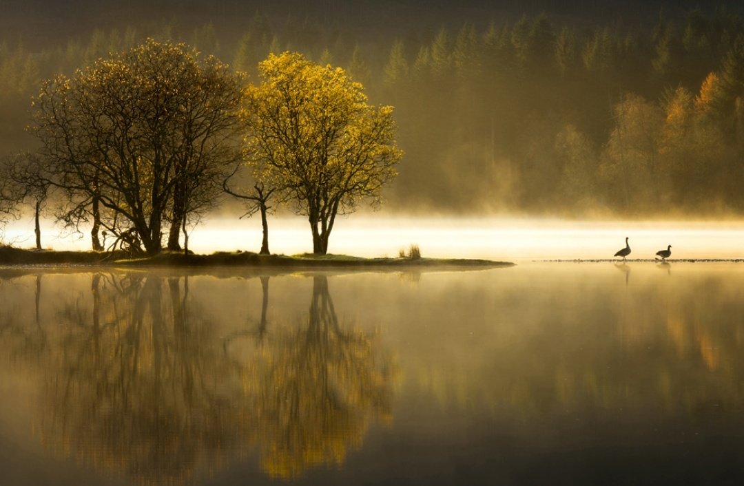 monkbonk's tweet image. Dzień dobry wszystkim... Wcale mi się dziś nie chce nic robić... Ale wyjścia nie ma 💪 
Miłego dnia ♥️
Have a nice day ♥️
#LochArd, #Scotland, #WakeUp, #Goodmorning
Origin: IG uklpoty