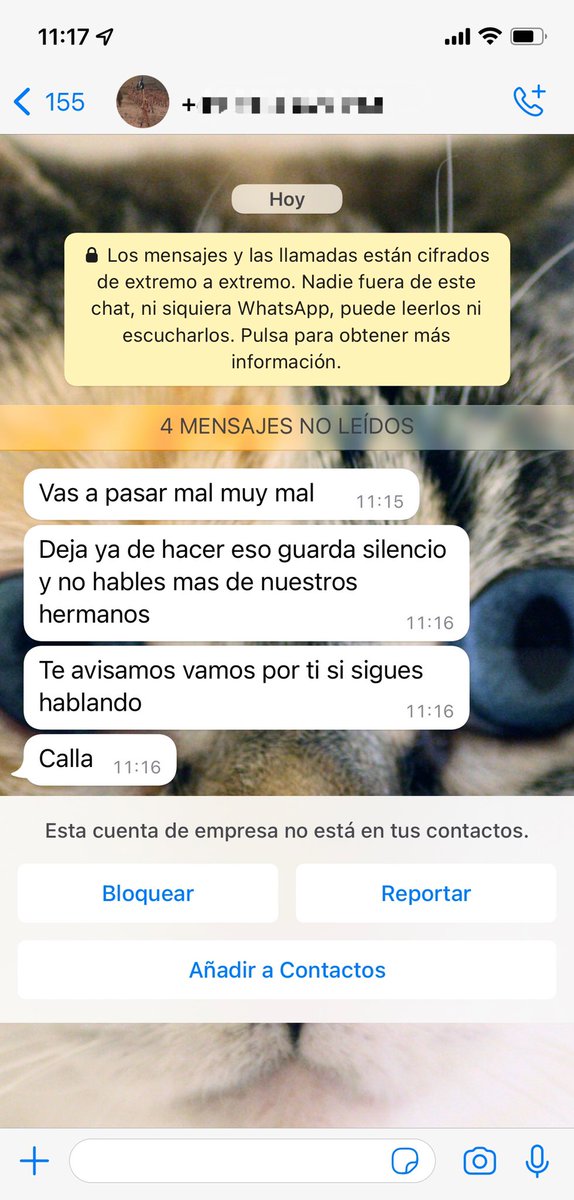 rubnpulido's tweet photo. No me vas a amedrentar, sea quién sea el que esté detrás de estos mensajes.

Y cada uno de estos mensajes serán puestos en conocimiento de la Policía. Seguiré a lo mío, lo siento mucho. https://t.co/qUbZ6rbual