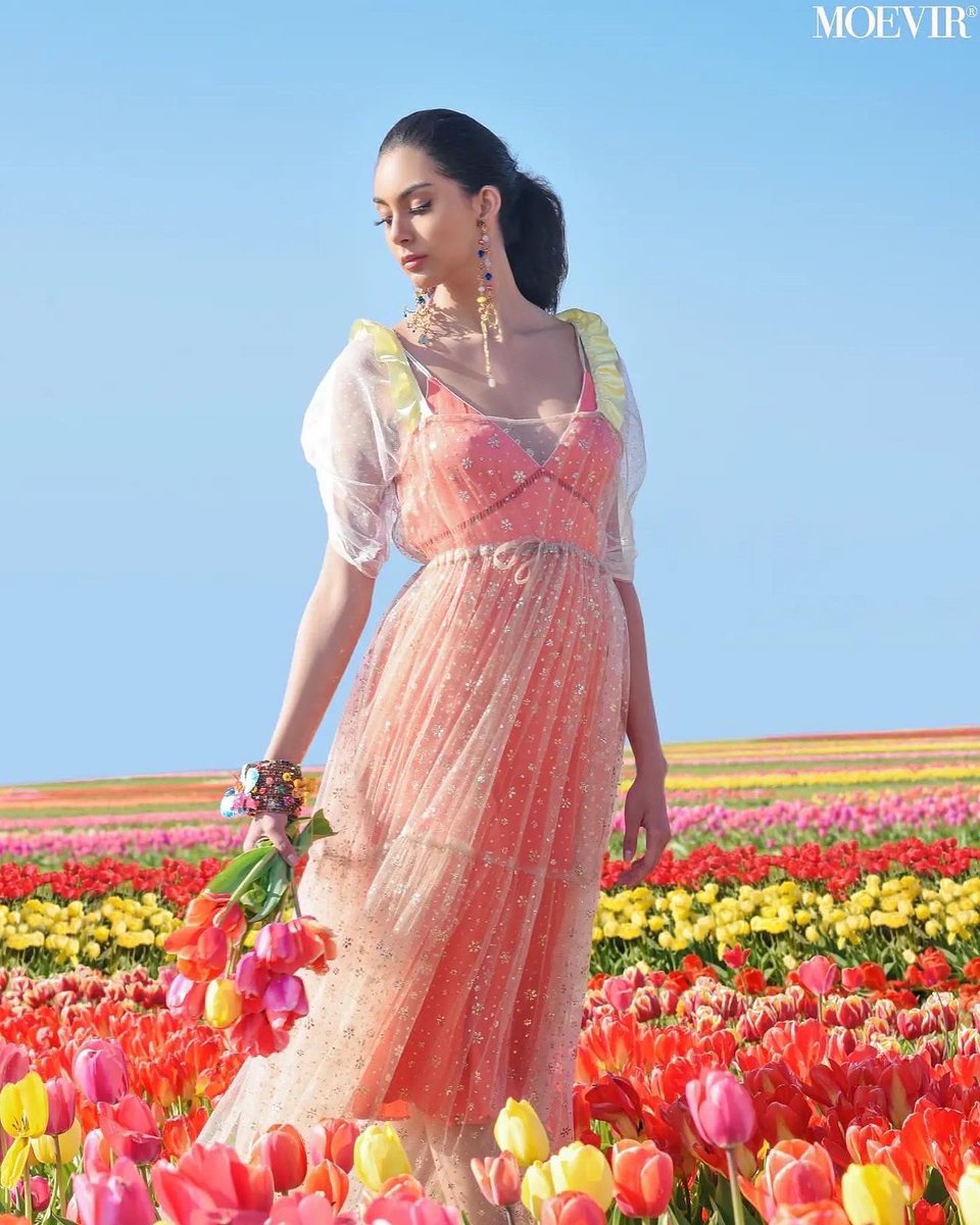 Richards Radcliffe tweet media