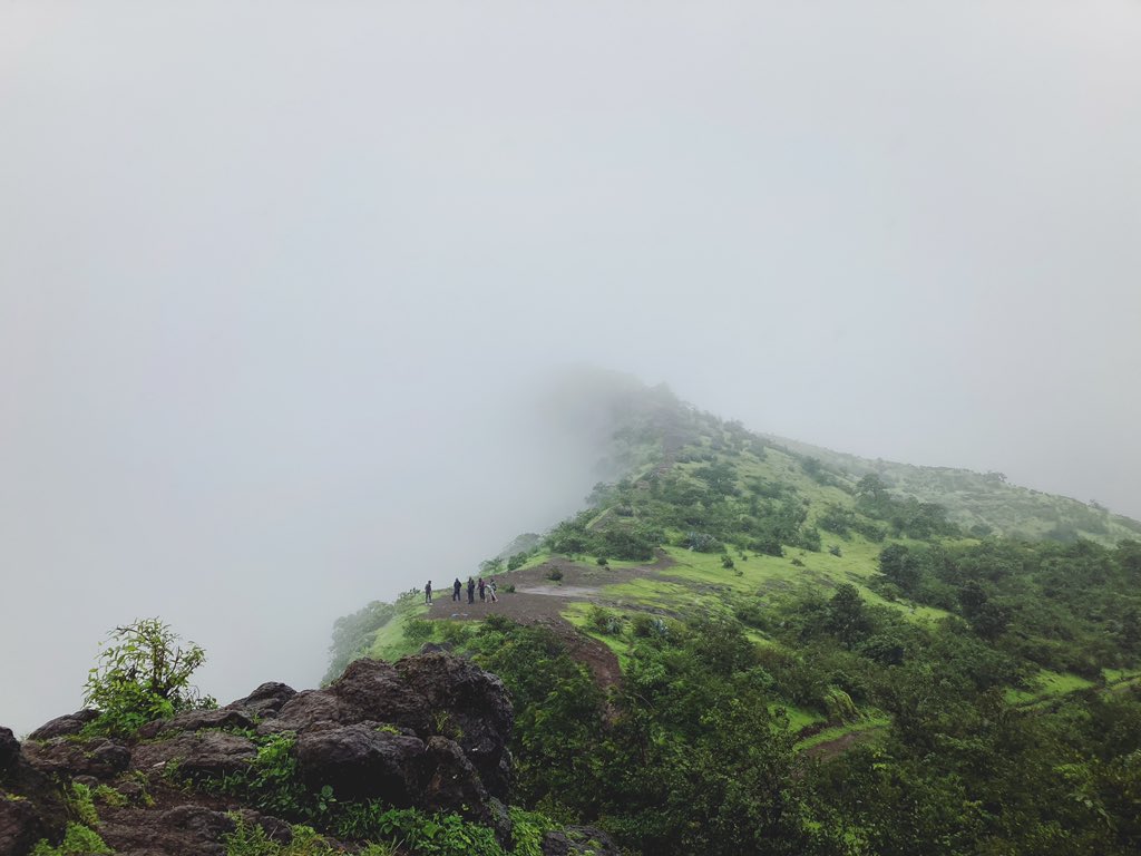 tamzexplores's tweet photo. Stairway to heaven. Saputara hills, Gujarat, India #travelphotography #photography #indiatravel #travelbloggers #mountains https://t.co/qISTkNFkYG