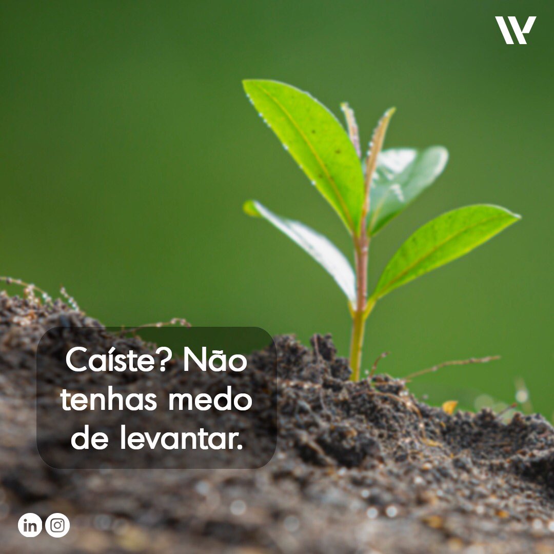 Até porque as sementes precisam de ir ao solo para germinar. 😃🌱💪🏾 

#wusangola #angola #motivacao