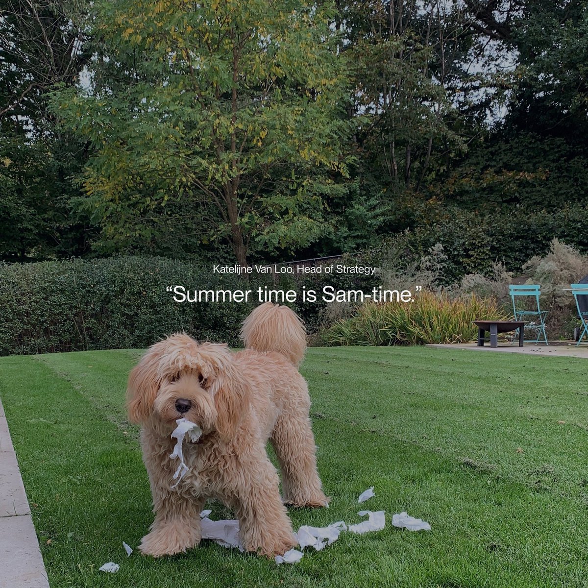 Walking Men tweet media