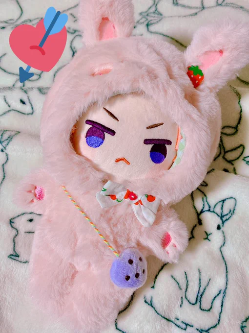 めっっっっちゃキュートやったーーー!!!!! しゆぬい待ち続けた一年だった…(そして届いて早々ウサチャンにされる運命 