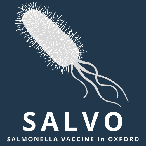 Help us prevent blood poisoning in children under 5 years of age in sub-Saharan Africa. 

𝐓𝐡𝐞 𝐒𝐀𝐋𝐕𝐎 𝐓𝐫𝐢𝐚𝐥: 𝐓𝐡𝐞 𝐟𝐢𝐫𝐬𝐭 𝐞𝐯𝐞𝐫 𝐯𝐚𝐜𝐜𝐢𝐧𝐞 𝐟𝐨𝐫 𝐢𝐍𝐓𝐒

Join our study and help us make a difference to millions.🔻

trials.ovg.ox.ac.uk/trials/salvo 

<a href="/VacciNTS/">Vacc-iNTS project</a>