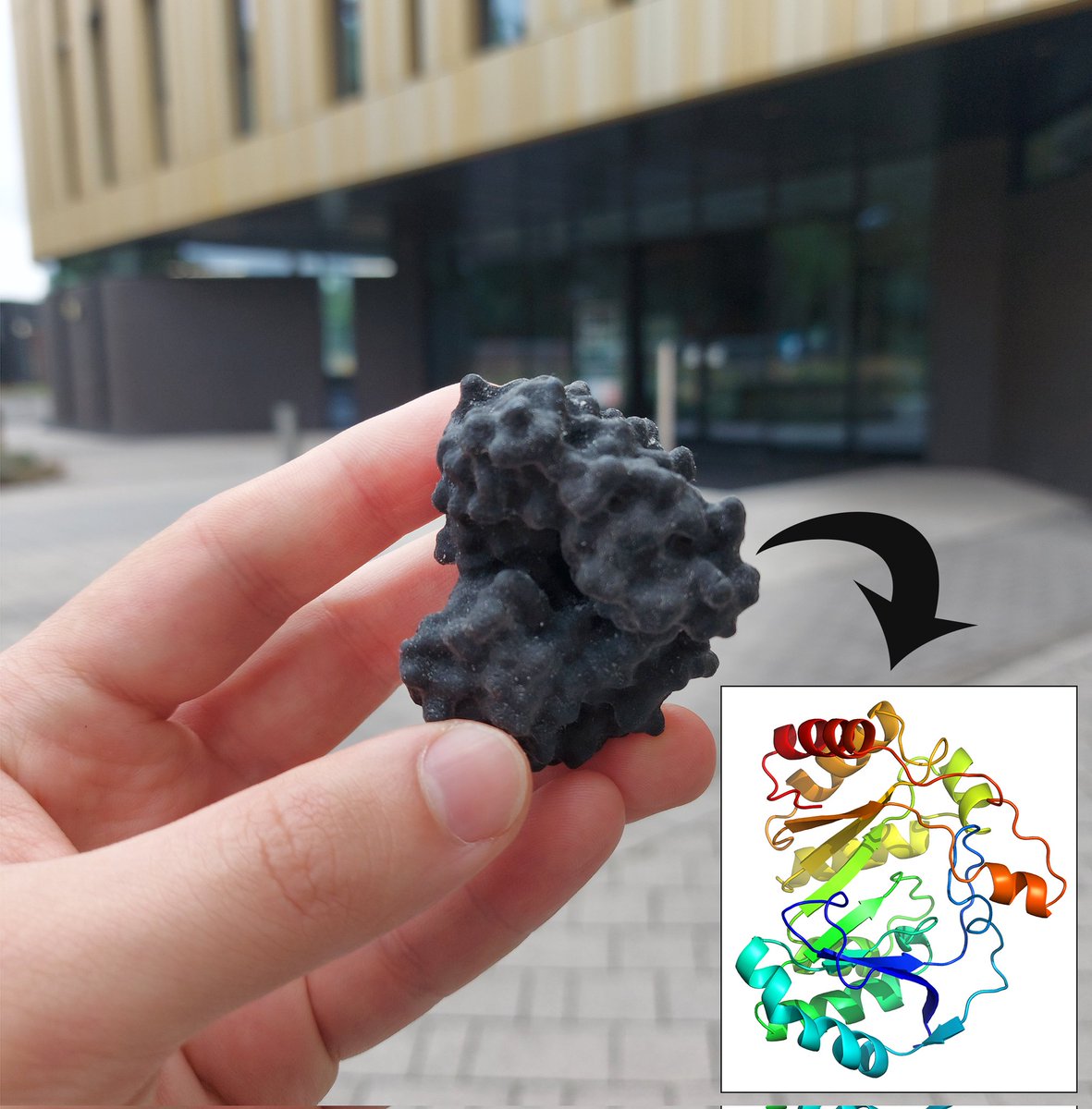 MarkoHanzevacki's tweet photo. Huge thanks to my amazing supervisor @annakcroft for this lovely gift. She made me a 3D printed model of PFL-AE using flexible resins! And also gave me the best first postdoc experience in her group! Looking forward to continue working with Anna in future 😀 #3Dprinting #enzymes https://t.co/IPuPNRIOfV