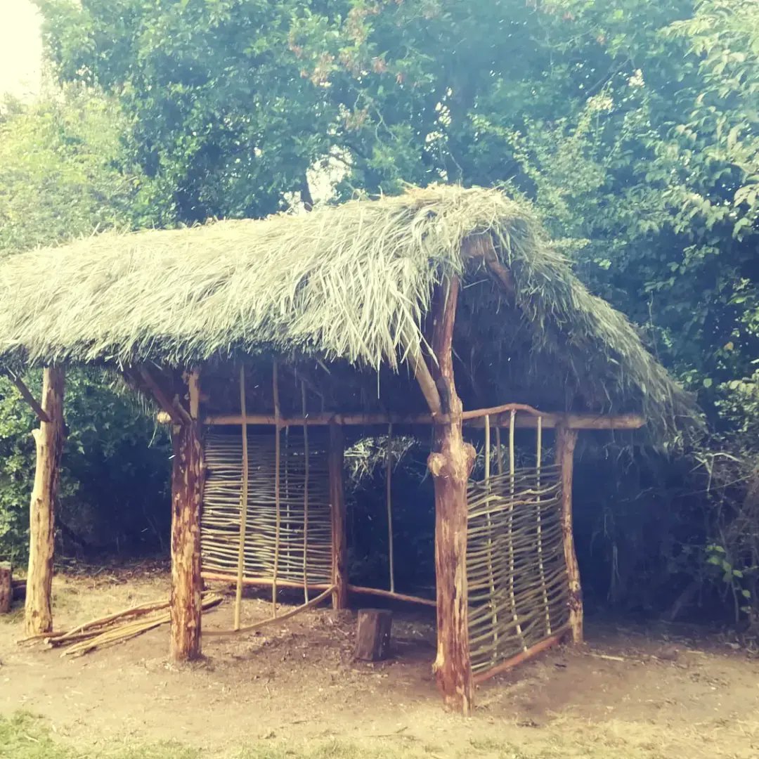 Swifterkamp, Archeologisch Openluchtmuseum tweet media