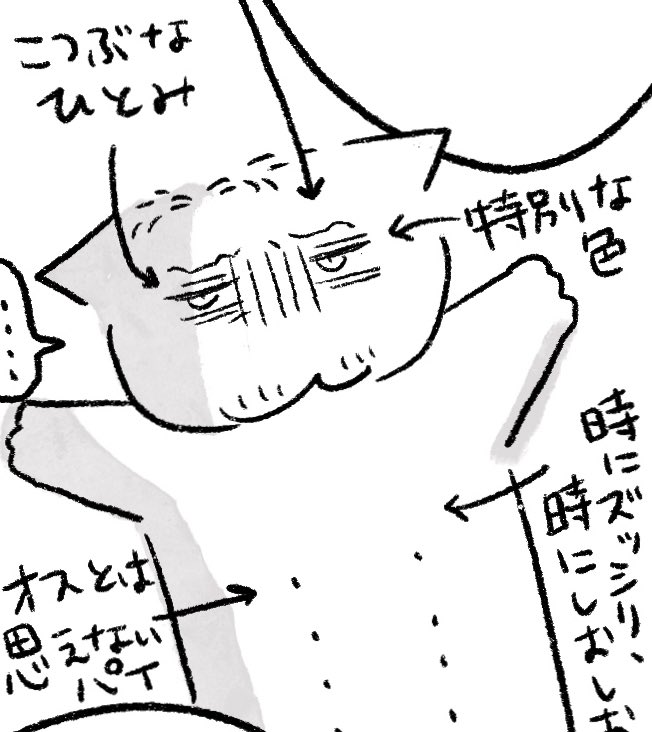 こちらの本ですが、イベント終了後に余りを通販する予定です🙆‍♀️
部数そんな多く刷っていないのでブースで販売する予定となっています!よろしくお願いしまーす! 
