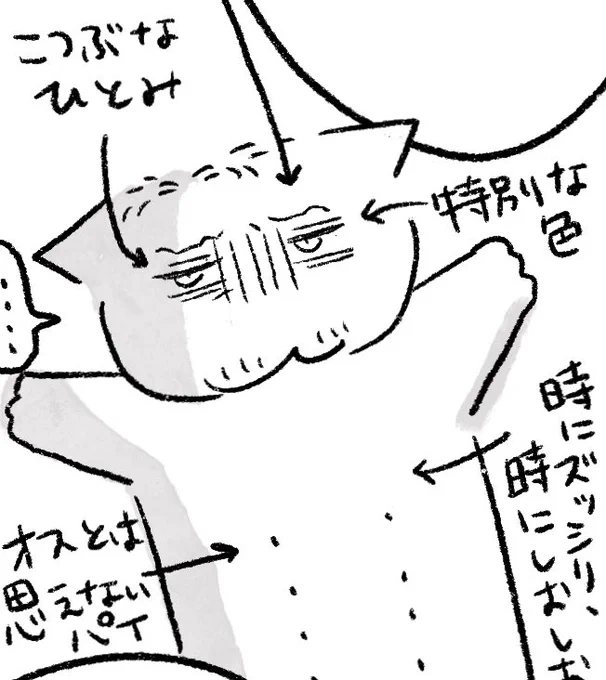 こちらの本ですが、イベント終了後に余りを通販する予定です🙆‍♀️
部数そんな多く刷っていないのでブースで販売する予定となっています!よろしくお願いしまーす! 
