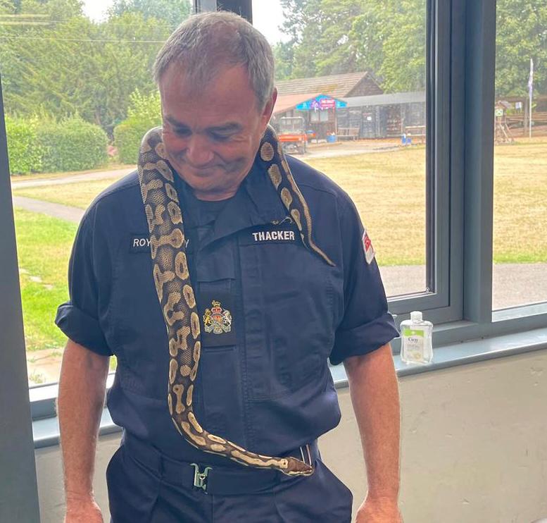 Royal Navy Engagement tweet media