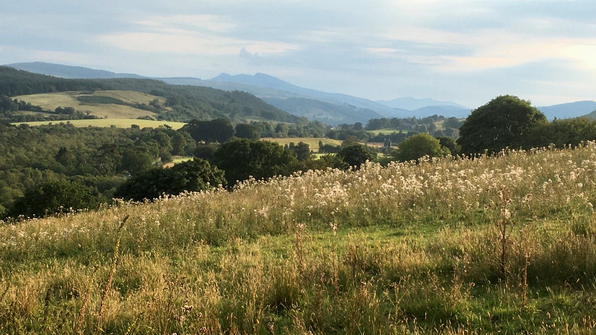 StellatoStrings's tweet photo. A few photos from my recent stay @TyBeic in North Wales. A walk in the beautiful early evening light. 💚 https://t.co/DAHEGXqmPm