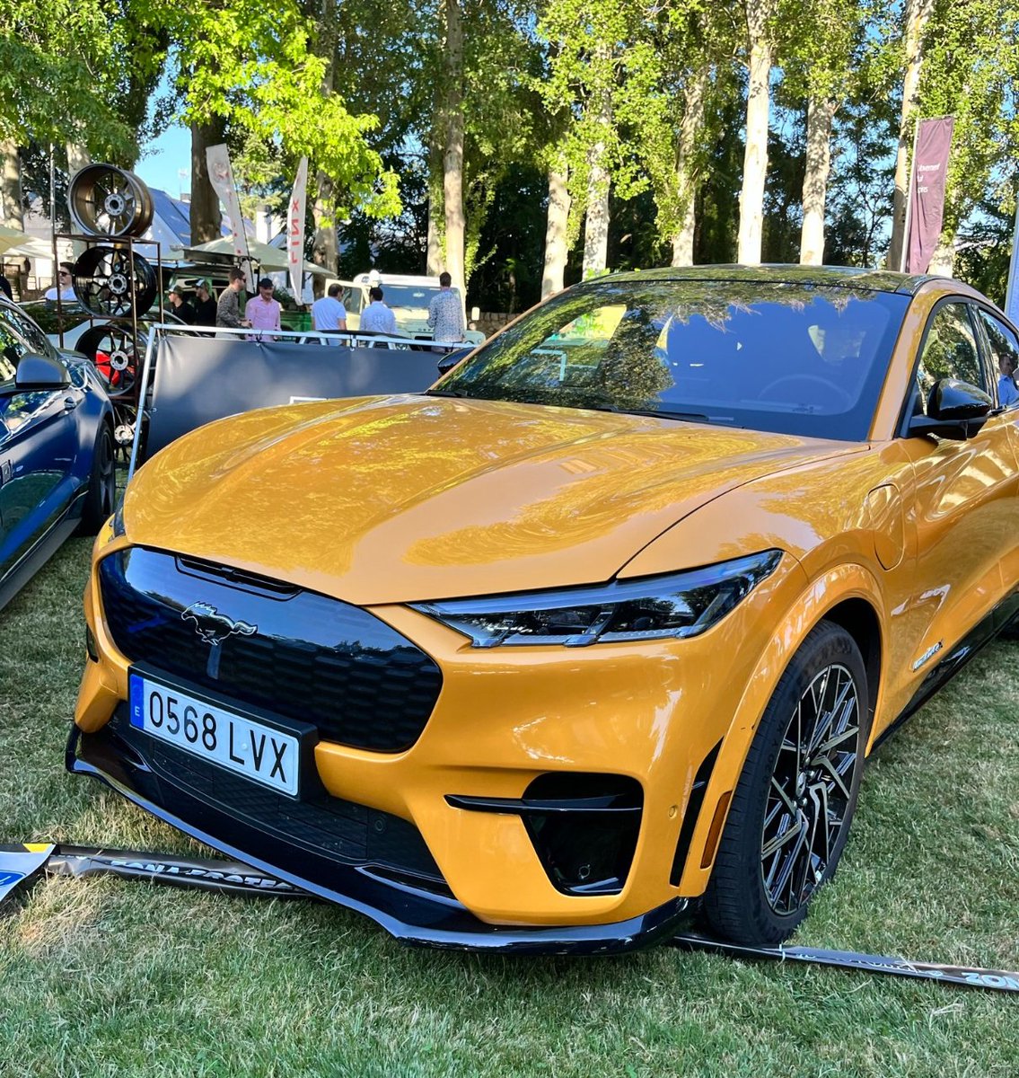 ¿Azul o Amarillo? 💙💛
#mustang #mache #mach1 #teammustang #almoauto
