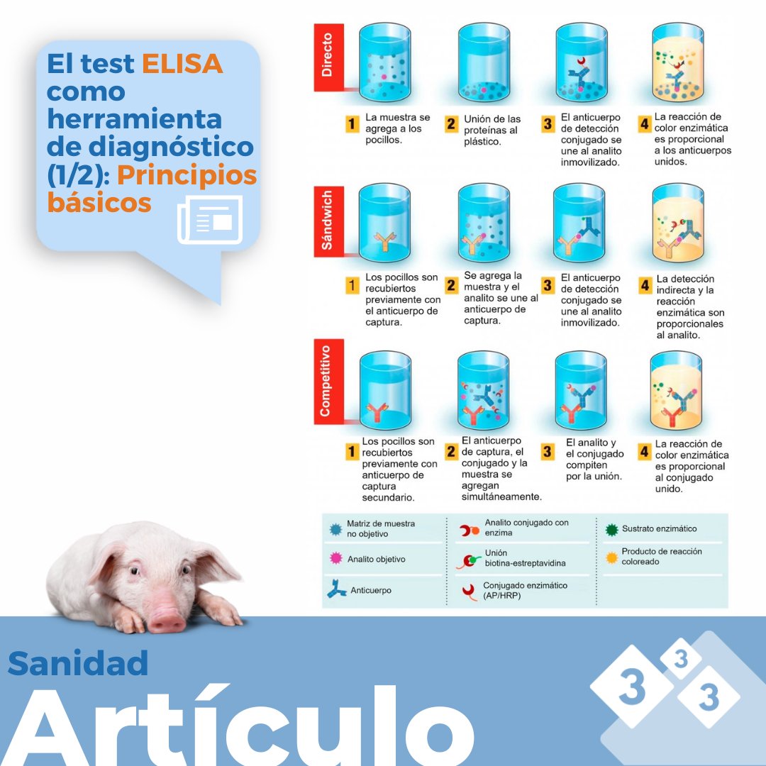 3tres3com's tweet photo. 🔎🧪¿Quieres saber cómo funcionan los test ELISA, qué detectan y cómo interpretar los resultados?
Te lo explicamos en el siguiente link: 🔗 https://t.co/dWL4VRvkQk
@RamPigVet
#3tres3 #cerdos #ELISA #testelisa https://t.co/KXS53xLy9W