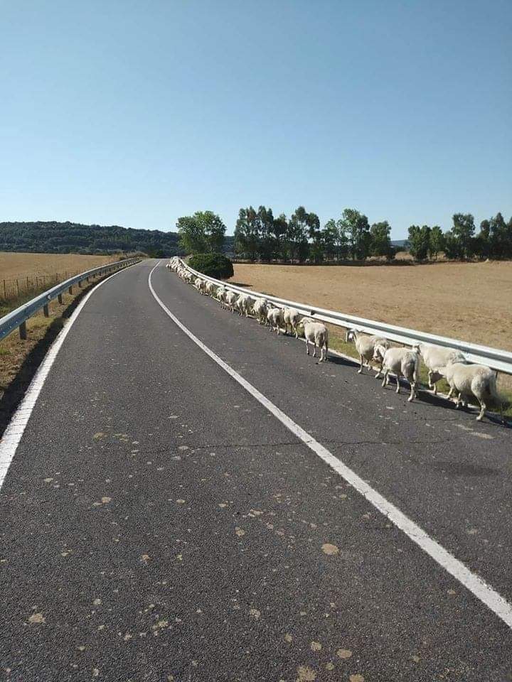 libro_segreto's tweet photo. e i ciclisti muti https://t.co/kdZsHOiGAl