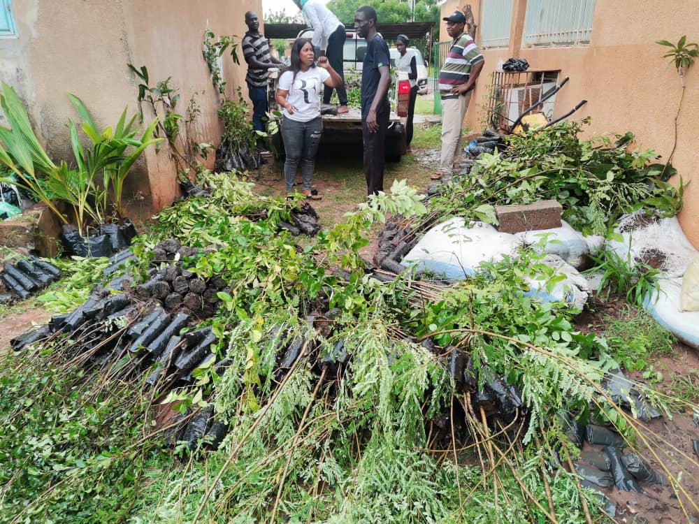 asergmv's tweet photo. A l'occasion de la Caravane @EcoBootCamp organisée par @UrgencEco de kolda, l'ASERGMV pôle Sud a mis à la disposition 1000 plants (#fruitiers et #forestier) en plus de #semences
#kebetu #Senegal #Reforestation #senegalvert https://t.co/FRW43mPC6W