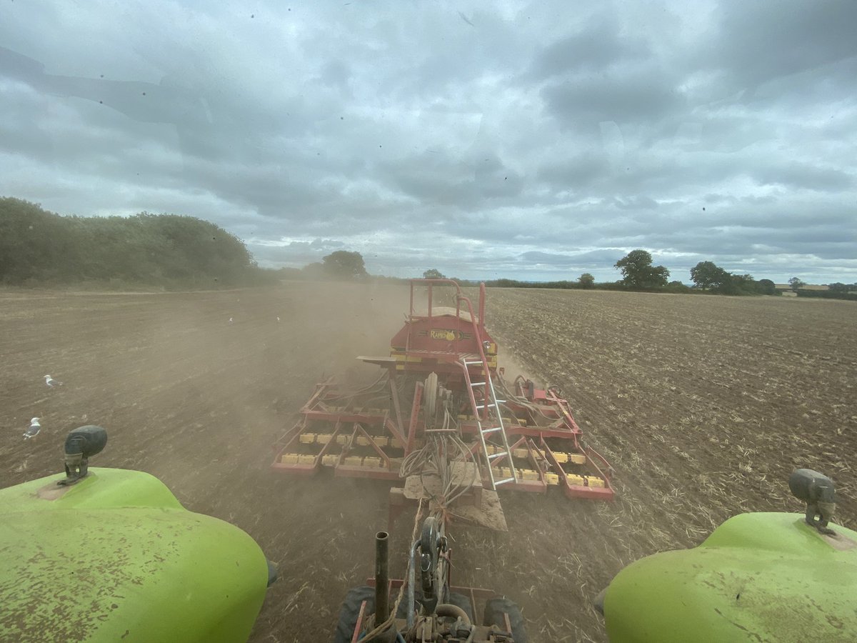Drilling cover crop direct vs min-till. Less soil erosion direct, let’s just hope it established well else I won’t hear the end of it…