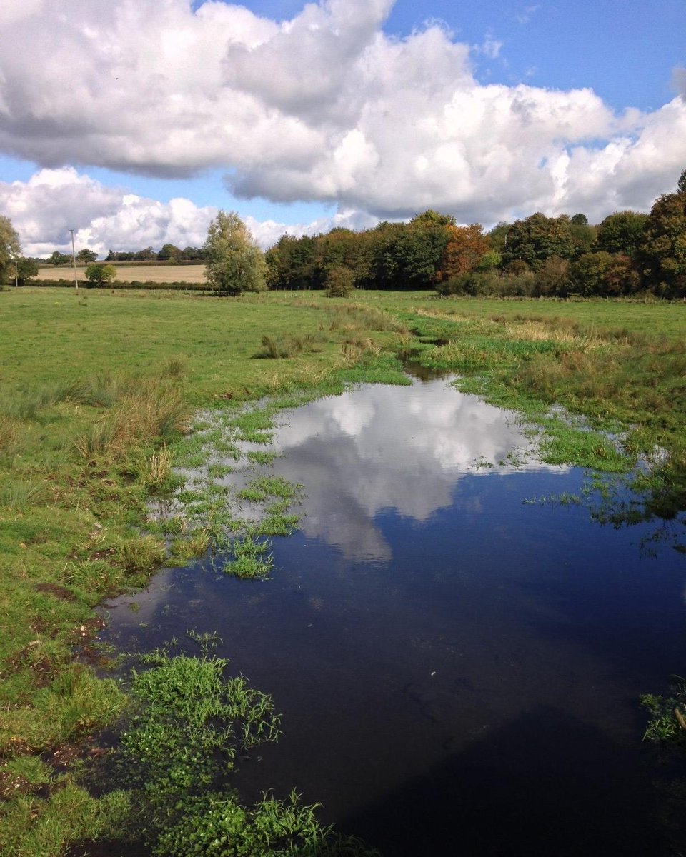 ChilternSociety's tweet photo. 💦The #RiverVer suffers from over abstraction, climate change is currently adding to this pressure with the upper reaches running dry at an alarming rate. @VerValleySoc is doing excellent work to raise awareness &amp; highlight these threats.

#WWWeek #chilterns #chalkstreams #aonb https://t.co/AZPKC7qc3y